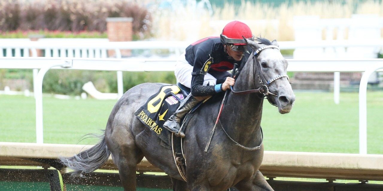 V V's Dream winning the Pocahontas (G3) at Churchill Downs (Photo by Coady Photography)