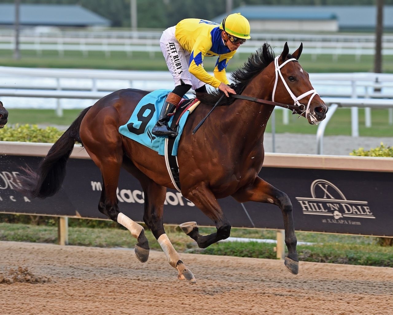 Vassimo wins at Gulfstream Park.