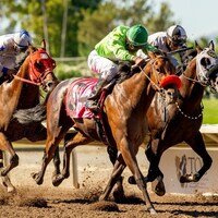 Vegas Magic wins Everett Nevin S. (Photo by Shane Micheli / Vassar Photography)