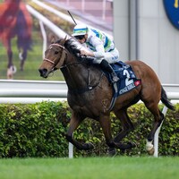 Voyage Bubble wins the Hong Kong Mile (G1)