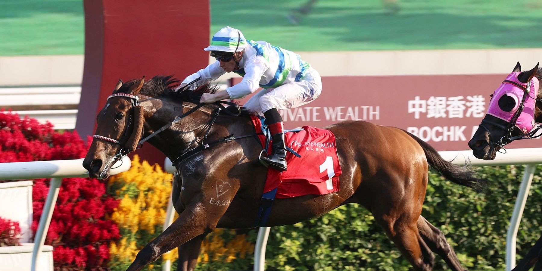 Voyage Bubble wins the Jockey Club Mile 