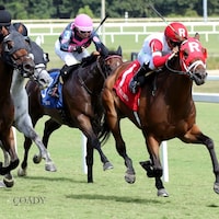 Whenigettoheaven wins the meadow Stable Handicap at Colonial Downs. 