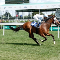 Whiskey Decision wins at Churchill Downs.
