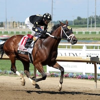Willy D’s wins the Michael G Schaefer Memorial at Horseshoe Indiana. 