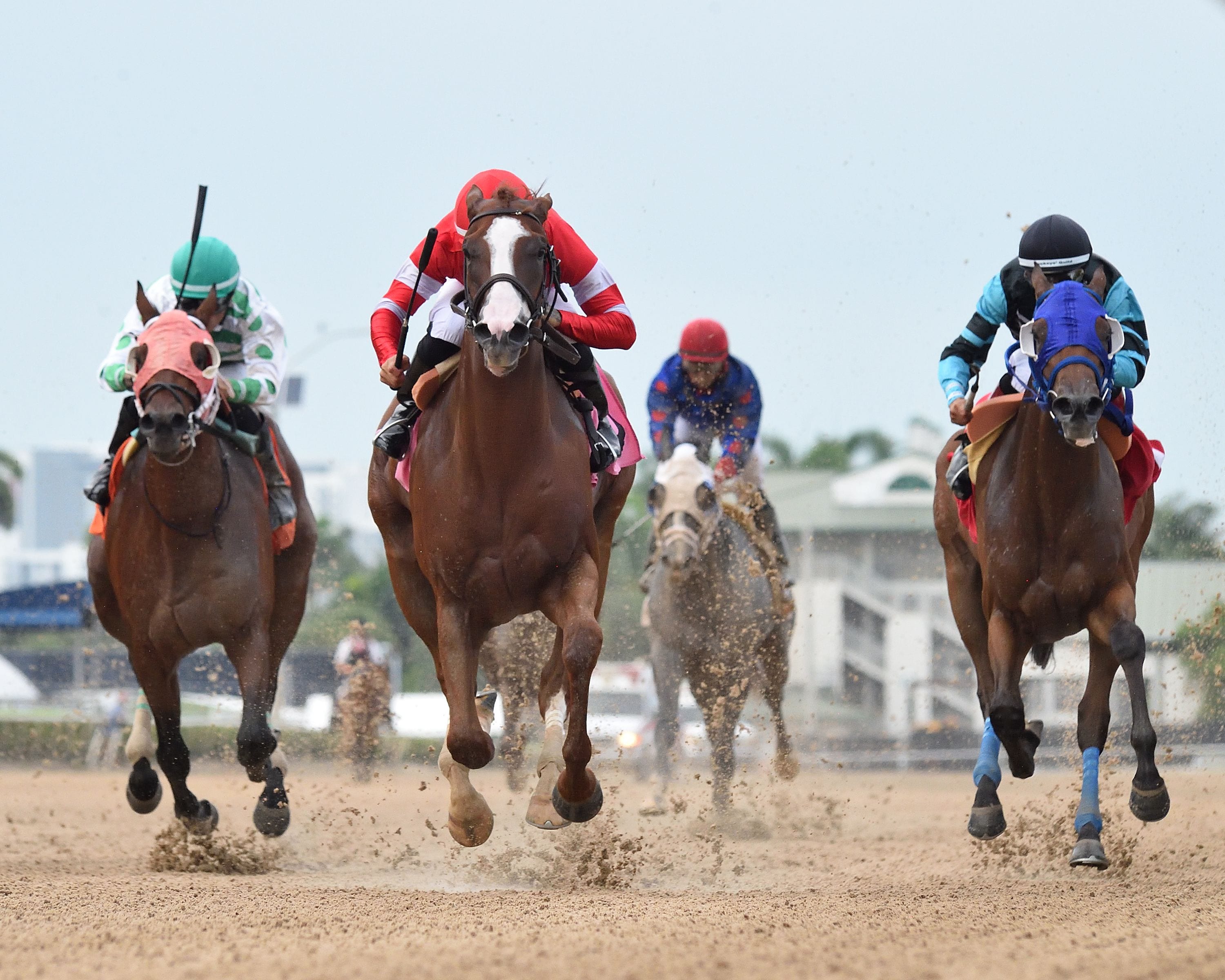 Wayne's Law wins the Aventura at Gulfstream Park.