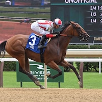 Ways and Means wins the Bed o' Roses S. at Belmont at Saratoga 2025 (Photos by Coglianese Photos/Chris Rahayel)