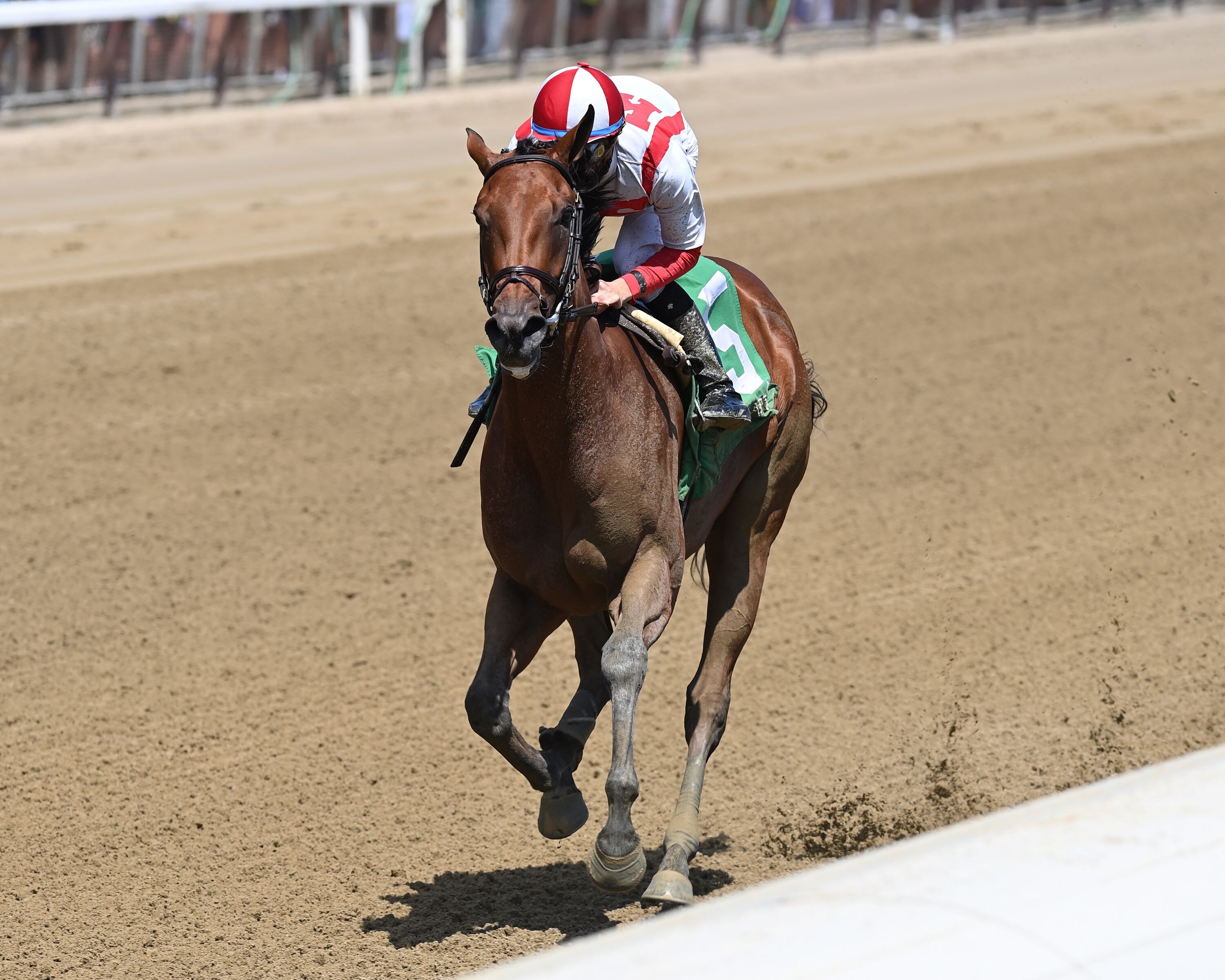 Ways and Means winning her debut at Saratoga (Photo by Coglianese Photos/Jetta Vaughns)