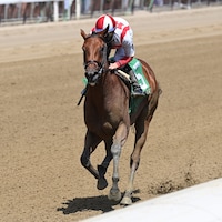 Ways and Means winning her debut at Saratoga (Photo by Coglianese Photos/Jetta Vaughns)