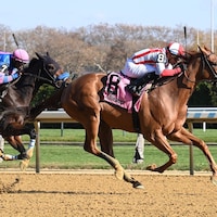 Weigh the Risks wins the Pumpkin Pie at Aqueduct.