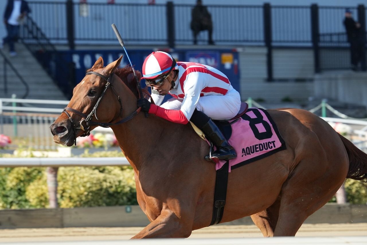 Weigh the Risks wins the Pumpkin Pie at Aqueduct.