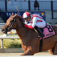 Weigh the Risks wins the Pumpkin Pie at Aqueduct. 