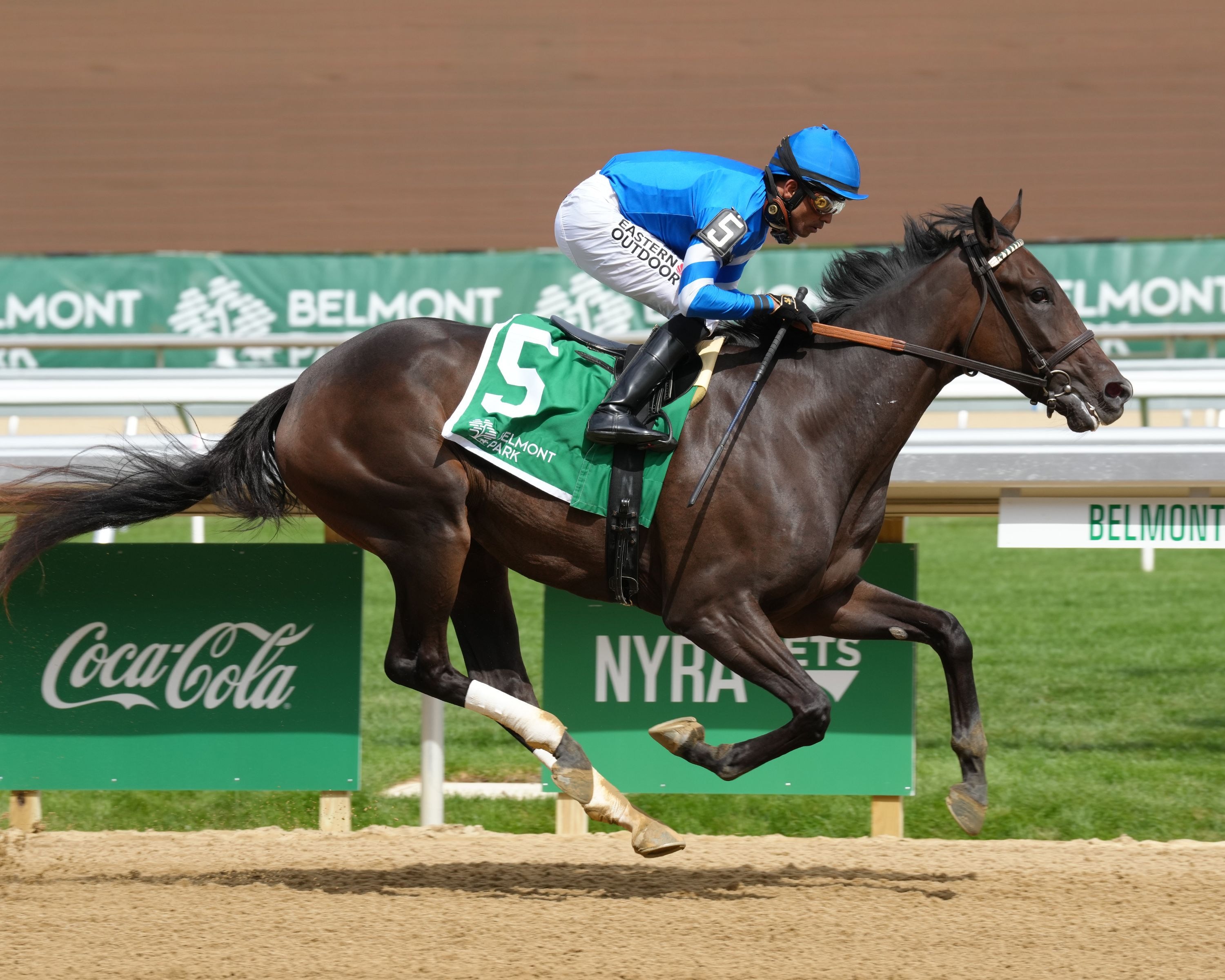 Wharfie wins at Belmont Park.