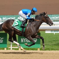 Wharfie wins at Belmont Park.