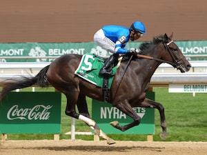Wharfie wins at Belmont Park.