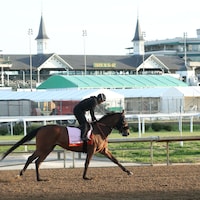 Where's My Ring doing a morning workout at Churchill Downs.