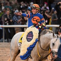 White Abarrio after his romp in the 2025 Pegasus World Cup (G1)