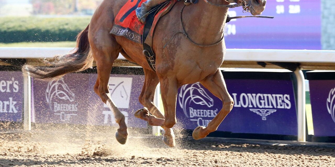Whitmore winning the 2020 Breeders' Cup Sprint (G1) at Keeneland (Photo by Coady Photography)