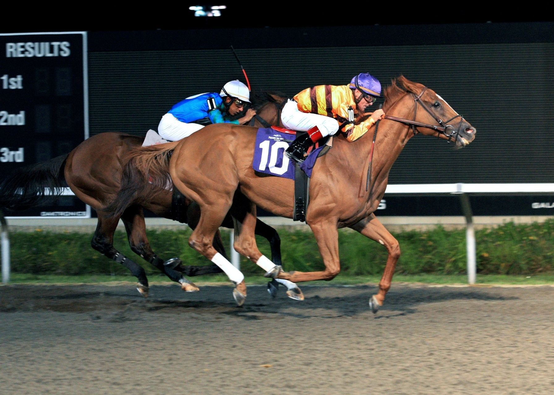 Hall of Famer Wise Dan won the 2011 Presque Isle Mile