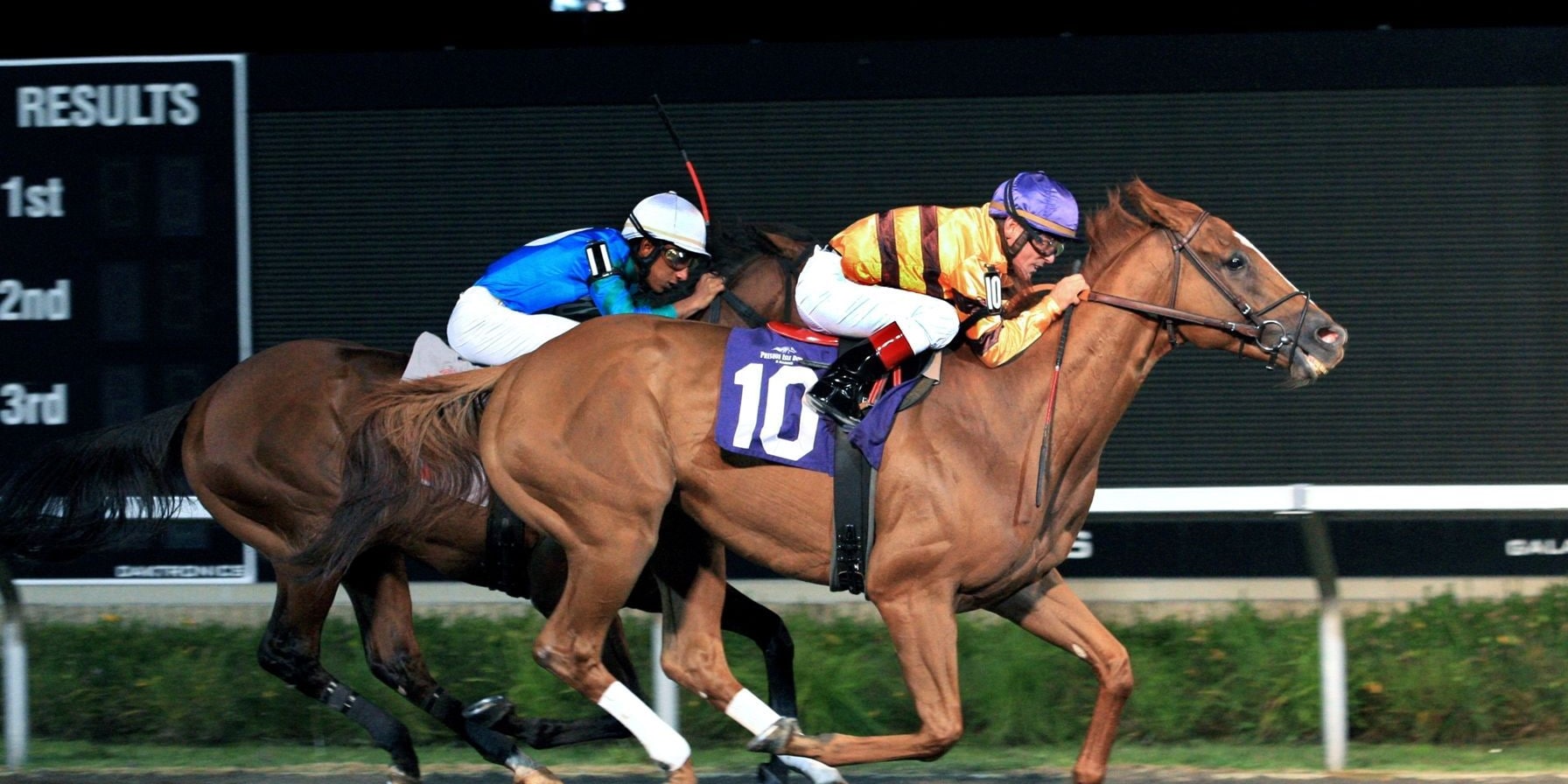 Hall of Famer Wise Dan won the 2011 Presque Isle Mile