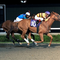 Hall of Famer Wise Dan won the 2011 Presque Isle Mile