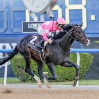 Wonder Dean edges clear in the UAE Derby (G2).