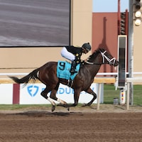 Wood stock wins the Gaylord Memorial Stakes at Remington Park. 