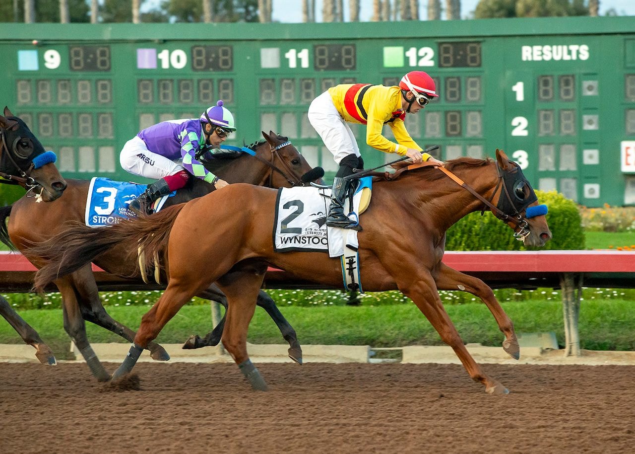 Wynstock winning the Los Alamitos Futurity (G2) at Los Alamitos (Photo by Benoit Photo)