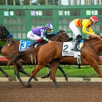 Wynstock winning the Los Alamitos Futurity (G2) at Los Alamitos (Photo by Benoit Photo)