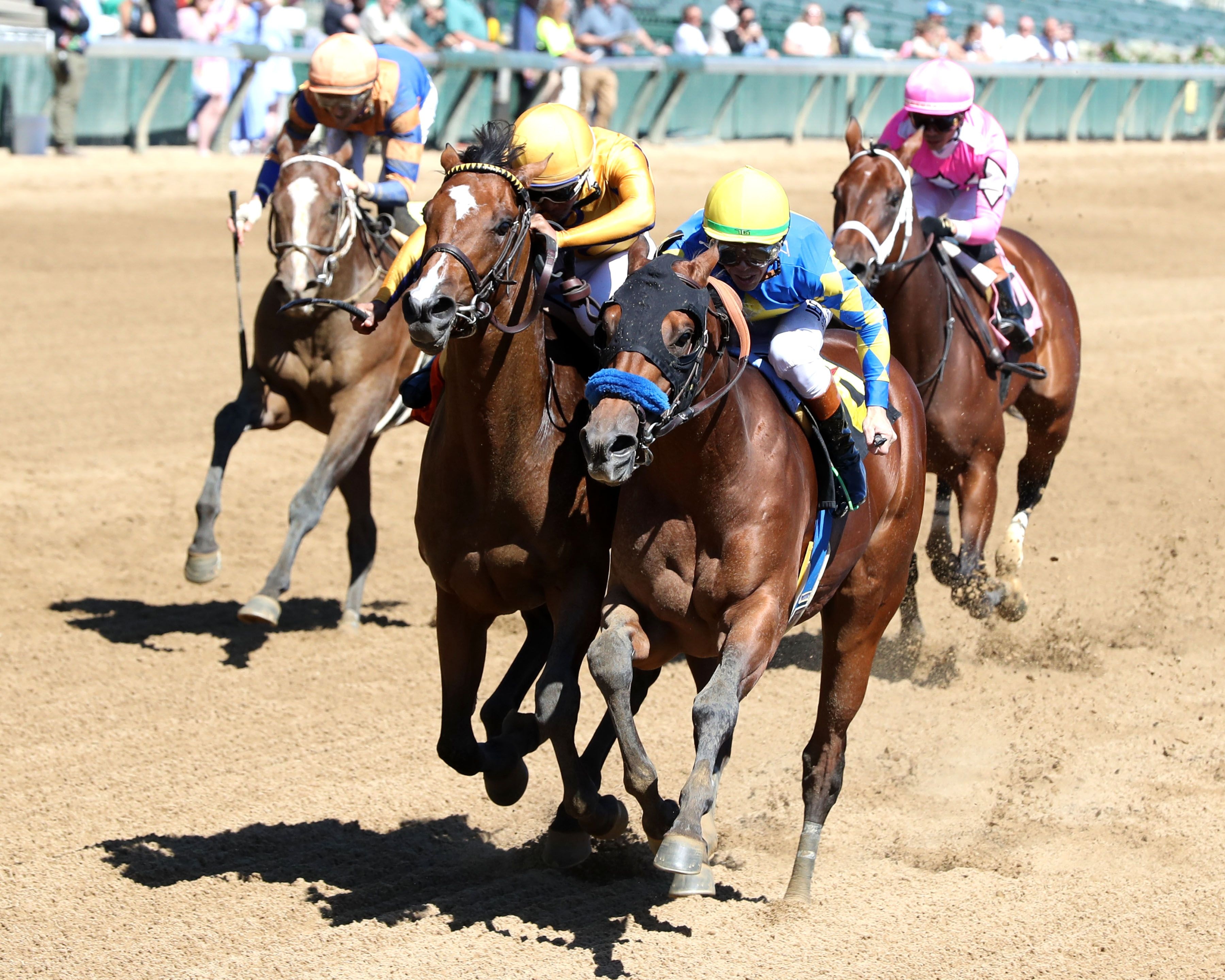Yacht Master wins his debut at Churchill Downs.
