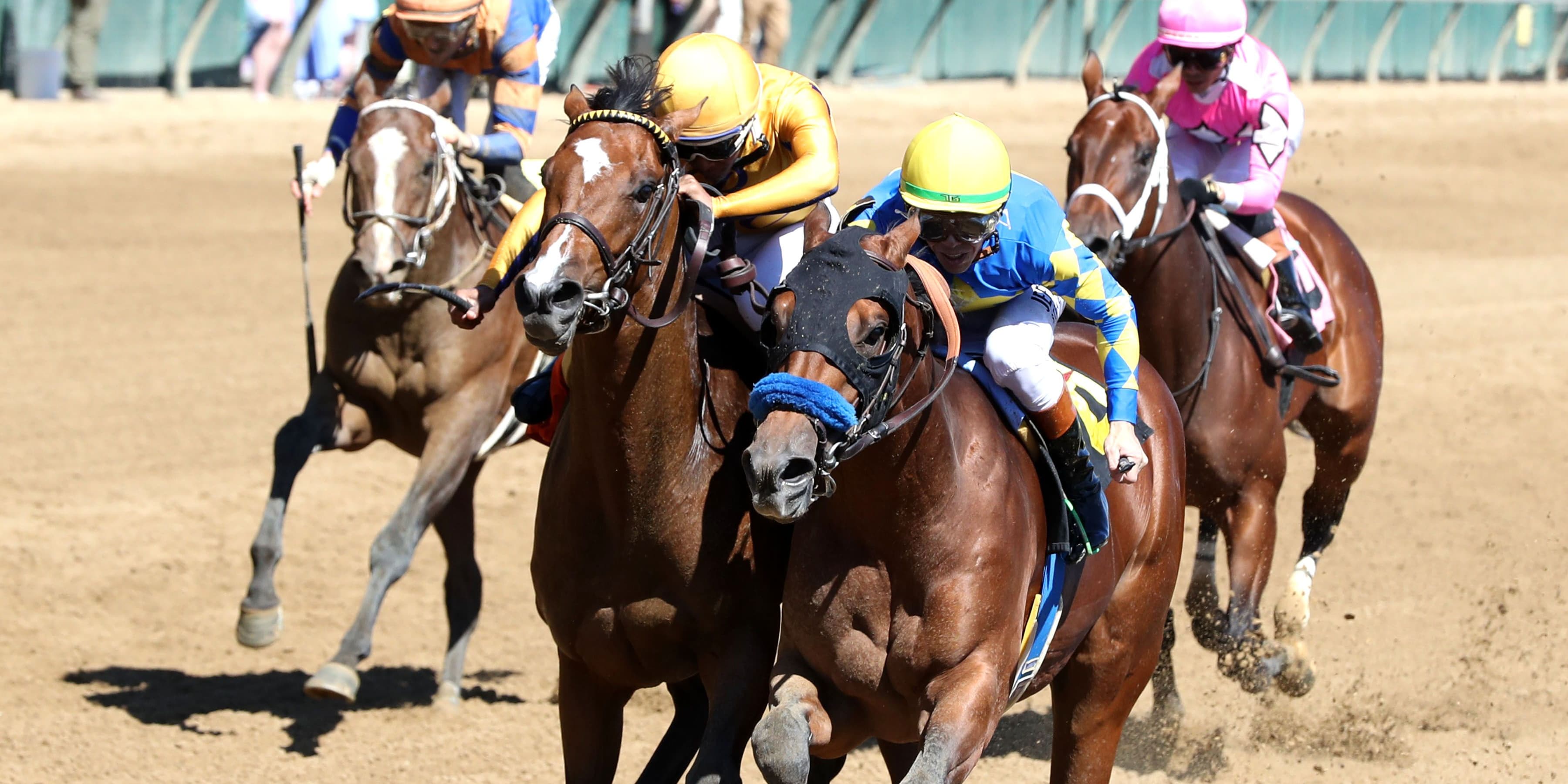 Yacht Master wins his debut at Churchill Downs.