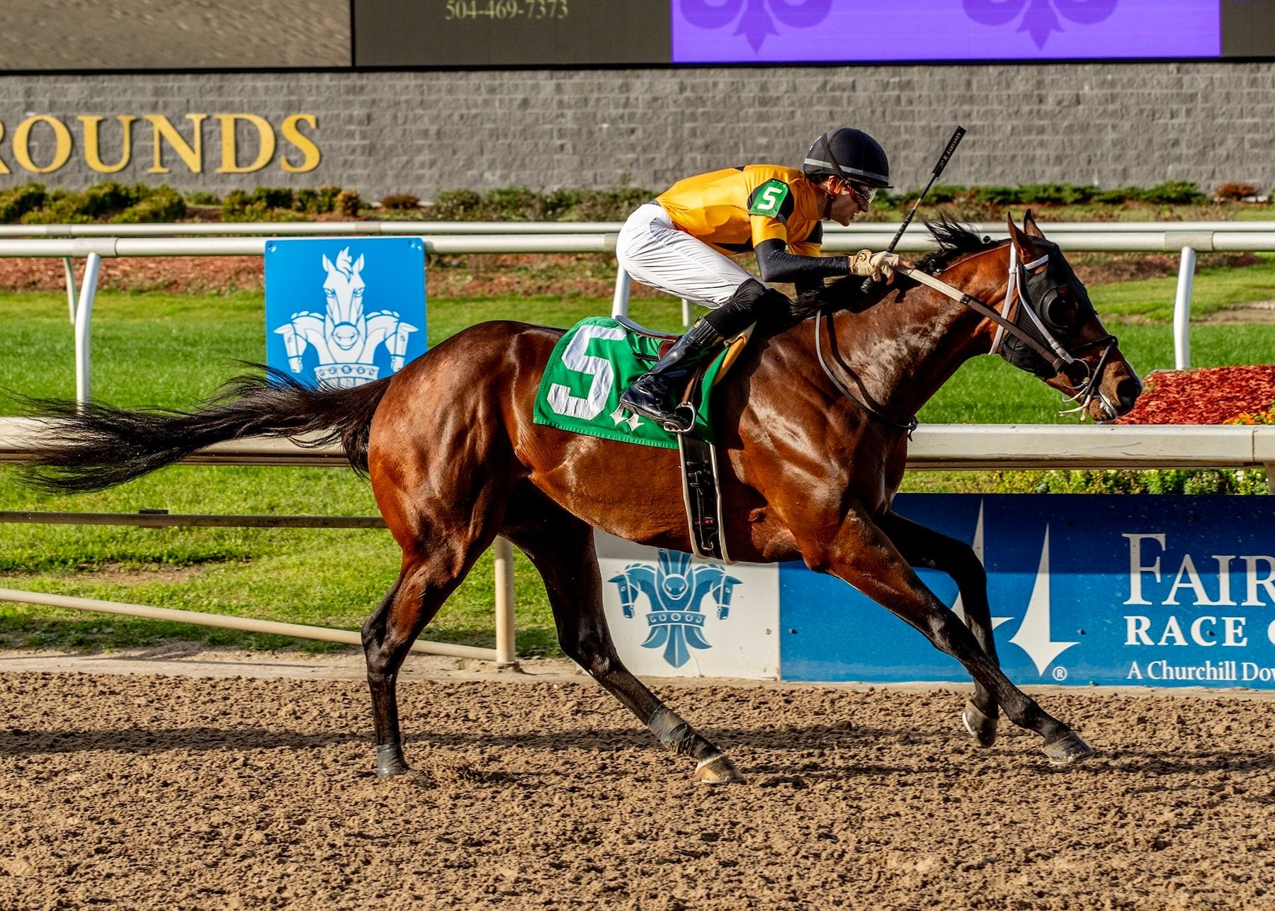 Yinzer wins at Fair Ground.