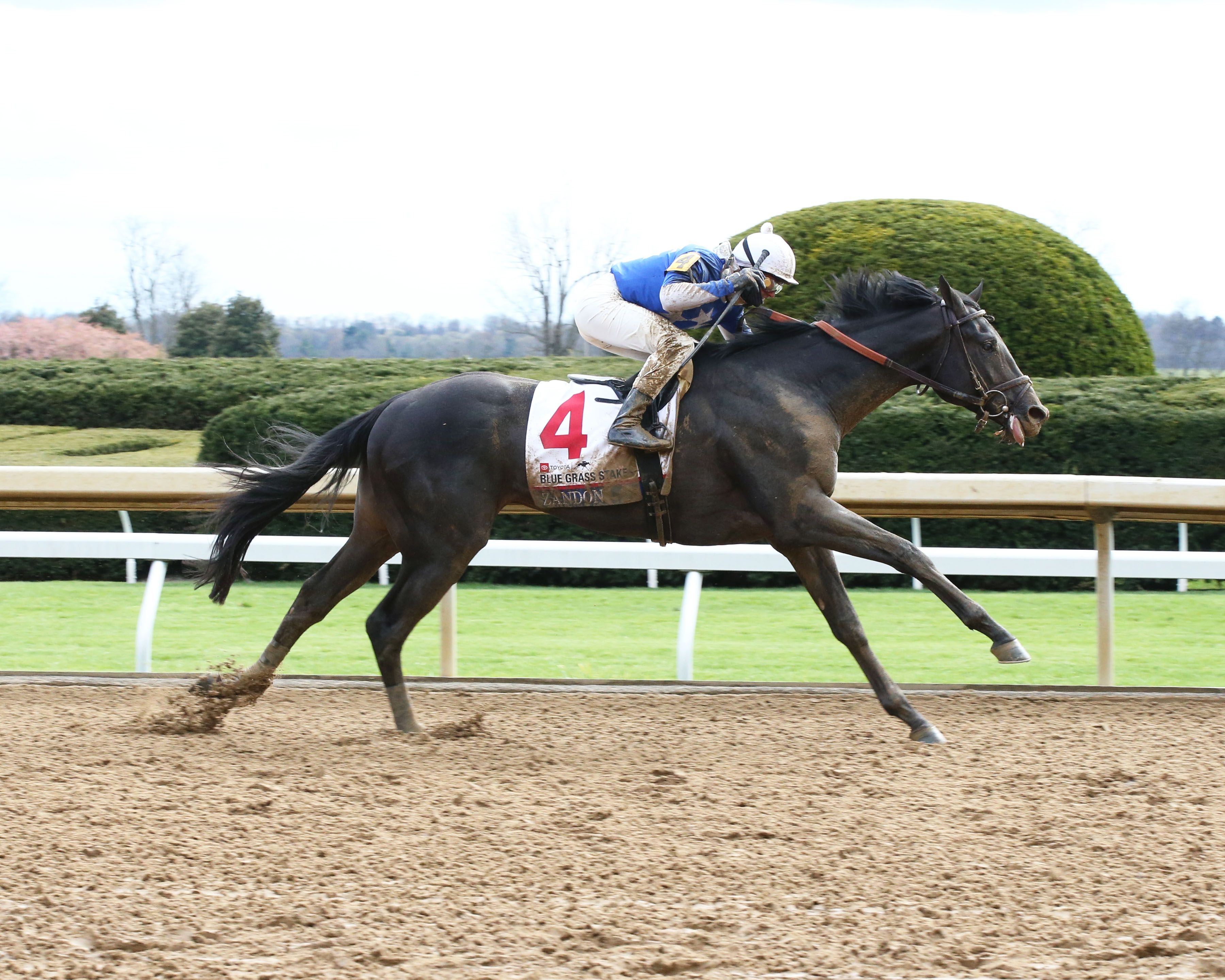 Zandon wins the Blue Grass Stakes 2022