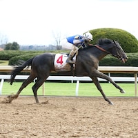 Zandon wins the Blue Grass Stakes 2022