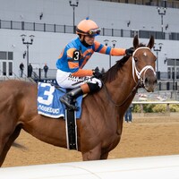 Zany wins the Demoiselle at Aqueduct.