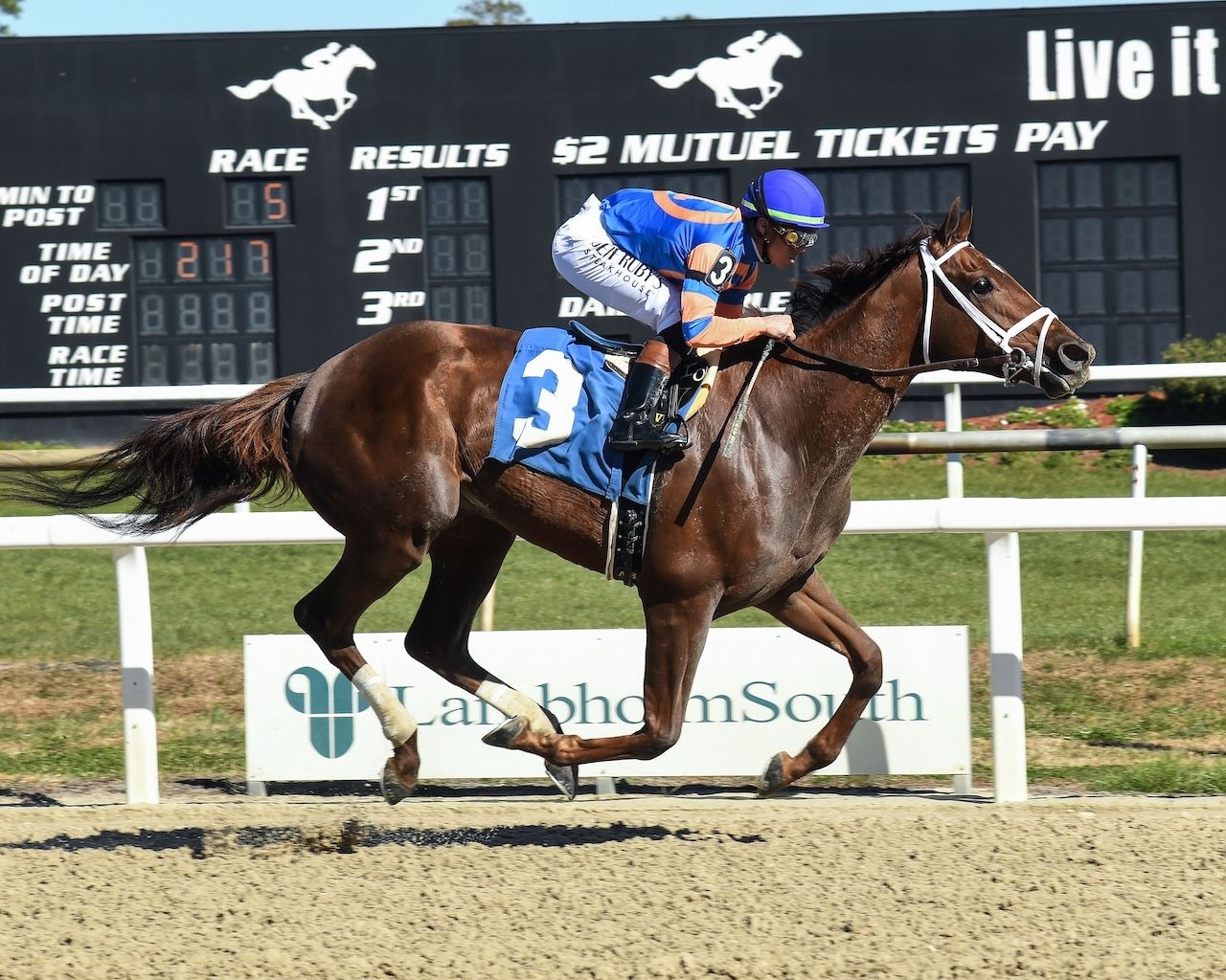 Zany wins the Suncoast Stakes at Tampa Bay Downs.