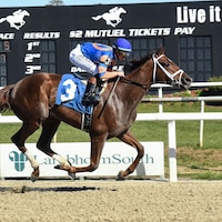 Zany wins the Suncoast Stakes at Tampa Bay Downs.