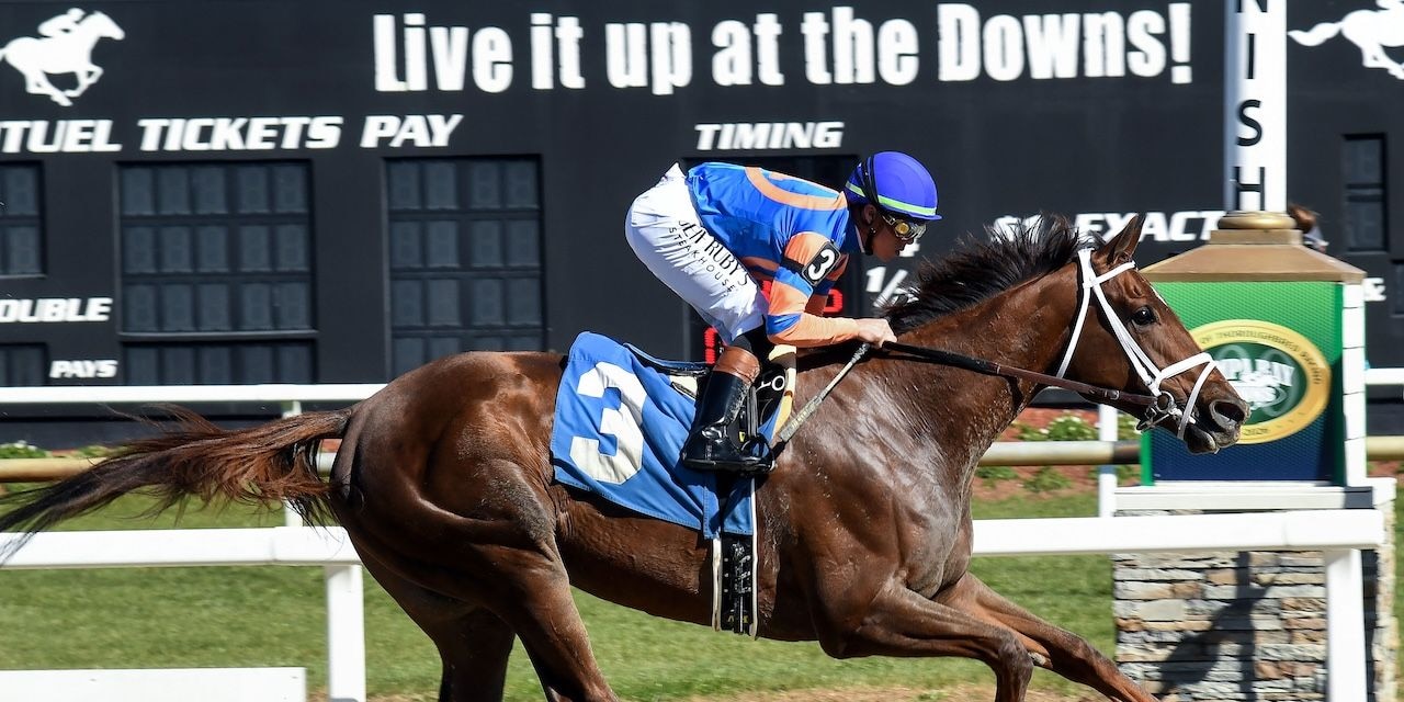 Zany wins the Suncoast Stakes at Tampa Bay Downs.