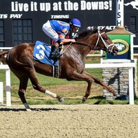 Zany wins the Suncoast Stakes at Tampa Bay Downs.