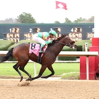 Zat's the One breaks his maiden at Oaklawn Park