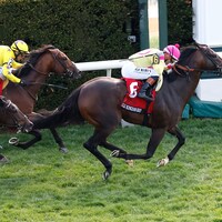 Zulu Kingdom wins the makers Mark Mile at Keeenalnd.