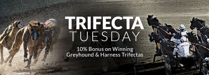 Trifecta Tuesday