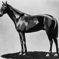 Apollo - 1882
