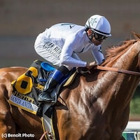Hard to Justify at Santa Anita (Photo by Horsephotos.com)
