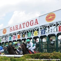 Saratoga Starting Gate