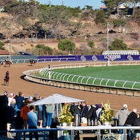 Trainer Aidan O'Brien's Breeders' Cup contenders for 2025 at Del Mar