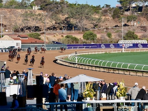 Trainer Aidan O'Brien's Breeders' Cup contenders for 2025 at Del Mar