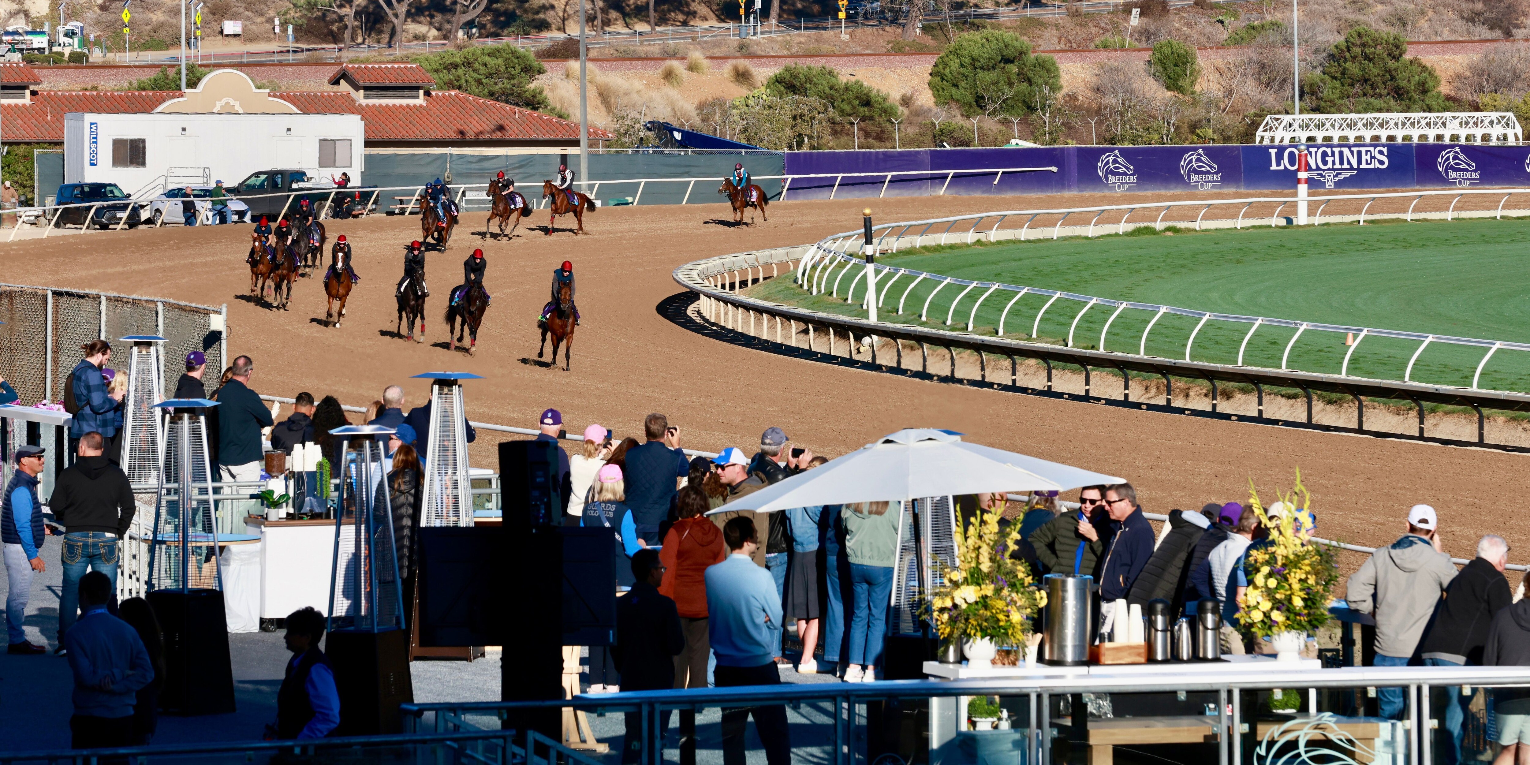Trainer Aidan O'Brien's Breeders' Cup contenders for 2025 at Del Mar