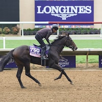 American Bikini is one of the Japanese two-year-olds in action at the 2024 Breeders' Cup