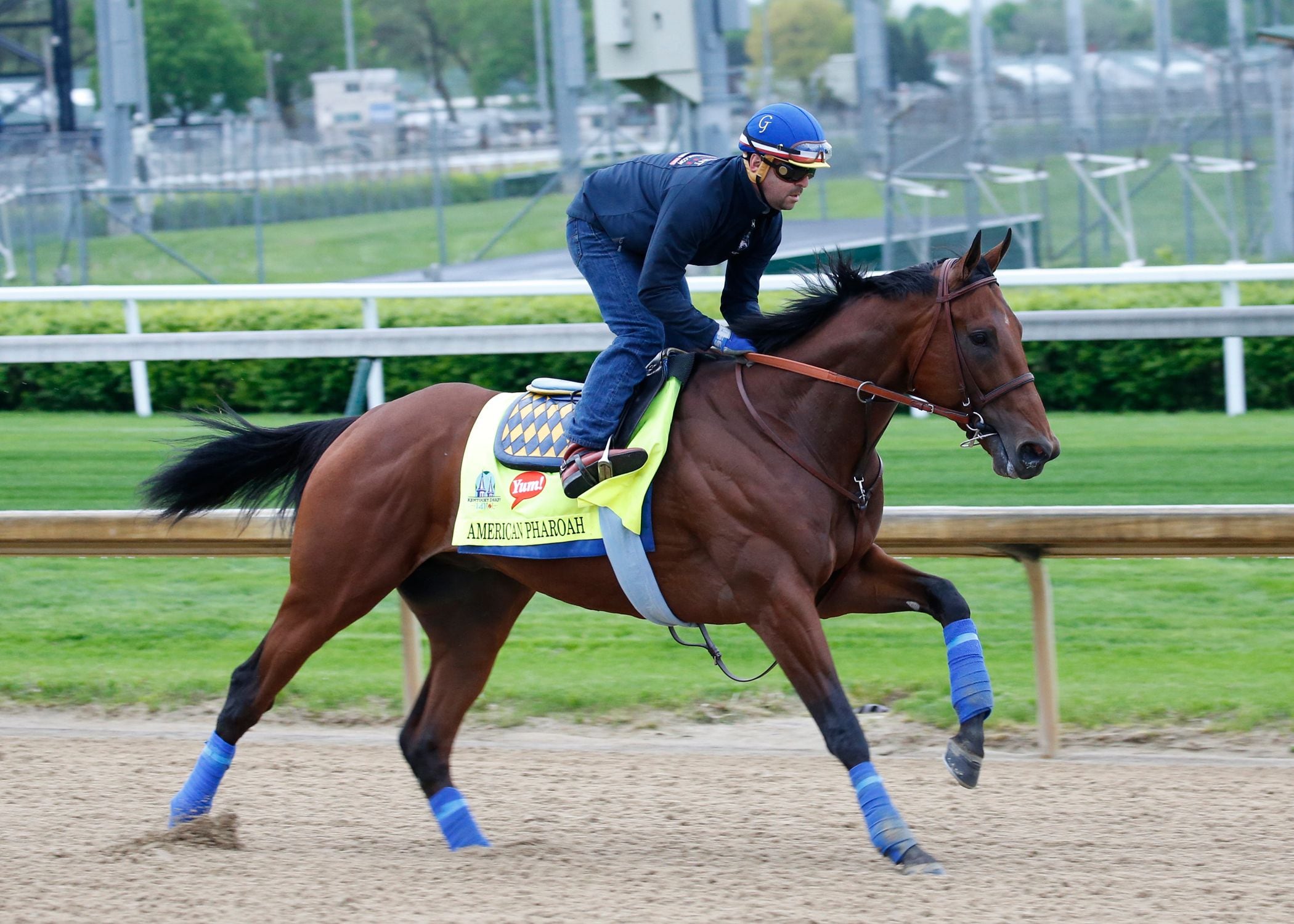 American Pharoah training before the Kentucky Derby. (Photo by Horsephotos.com)