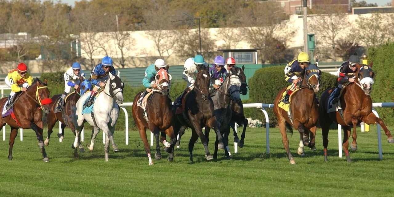 Turf racing at Aqueduct.